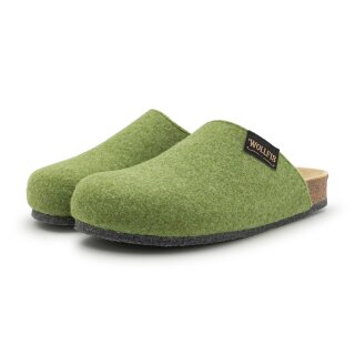 Bio Filzclogs Lind 41